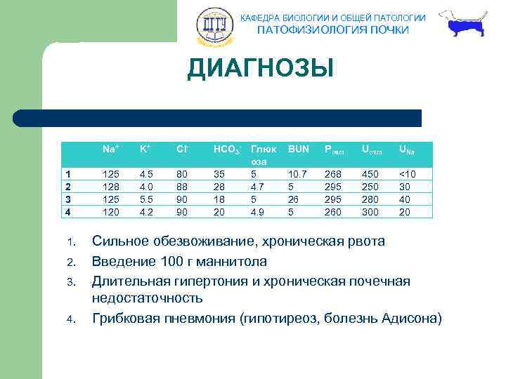 КАФЕДРА БИОЛОГИИ И ОБЩЕЙ ПАТОЛОГИИ ПАТОФИЗИОЛОГИЯ ПОЧКИ ДИАГНОЗЫ Na+ K+ Cl- 1 2 3