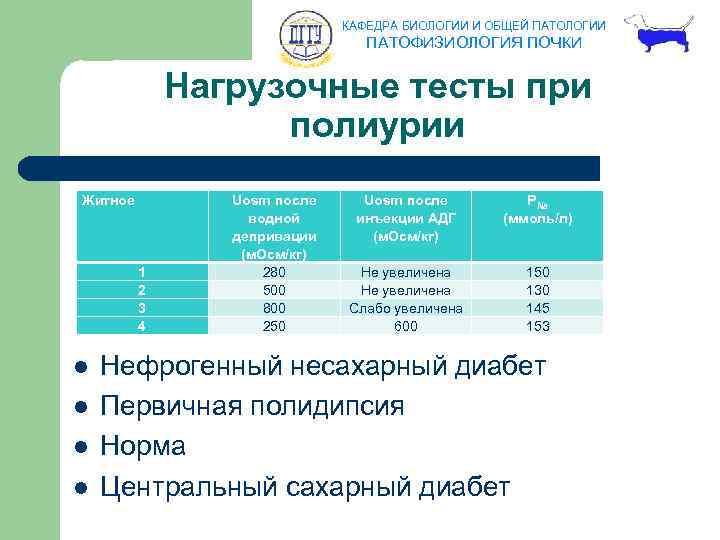 КАФЕДРА БИОЛОГИИ И ОБЩЕЙ ПАТОЛОГИИ ПАТОФИЗИОЛОГИЯ ПОЧКИ Нагрузочные тесты при полиурии Житное 1 2