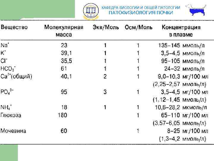 КАФЕДРА БИОЛОГИИ И ОБЩЕЙ ПАТОЛОГИИ ПАТОФИЗИОЛОГИЯ ПОЧКИ 