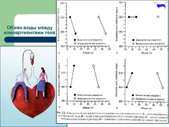Обмен воды между компартментами тела 