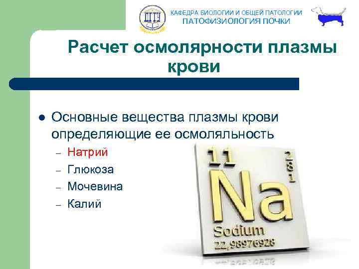 КАФЕДРА БИОЛОГИИ И ОБЩЕЙ ПАТОЛОГИИ ПАТОФИЗИОЛОГИЯ ПОЧКИ Расчет осмолярности плазмы крови l Основные вещества