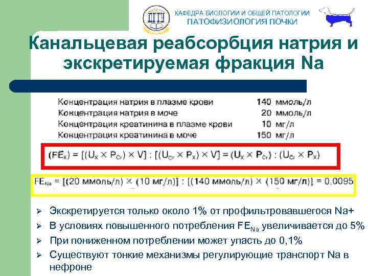 КАФЕДРА БИОЛОГИИ И ОБЩЕЙ ПАТОЛОГИИ ПАТОФИЗИОЛОГИЯ ПОЧКИ Канальцевая реабсорбция натрия и экскретируемая фракция Na