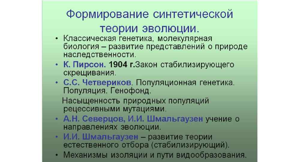 Молекулярно генетическая эволюция