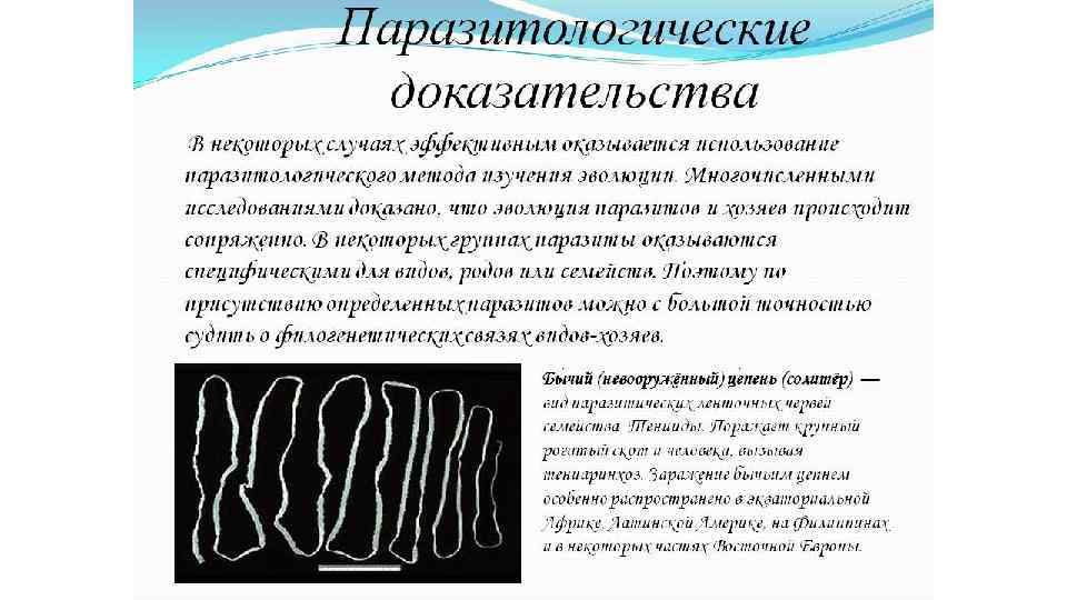 Основные доказательства. Паразитологические методы исследования. Паразитологические доказательства. Паразитологический метод. Паразитологический метод исследования в биологии.