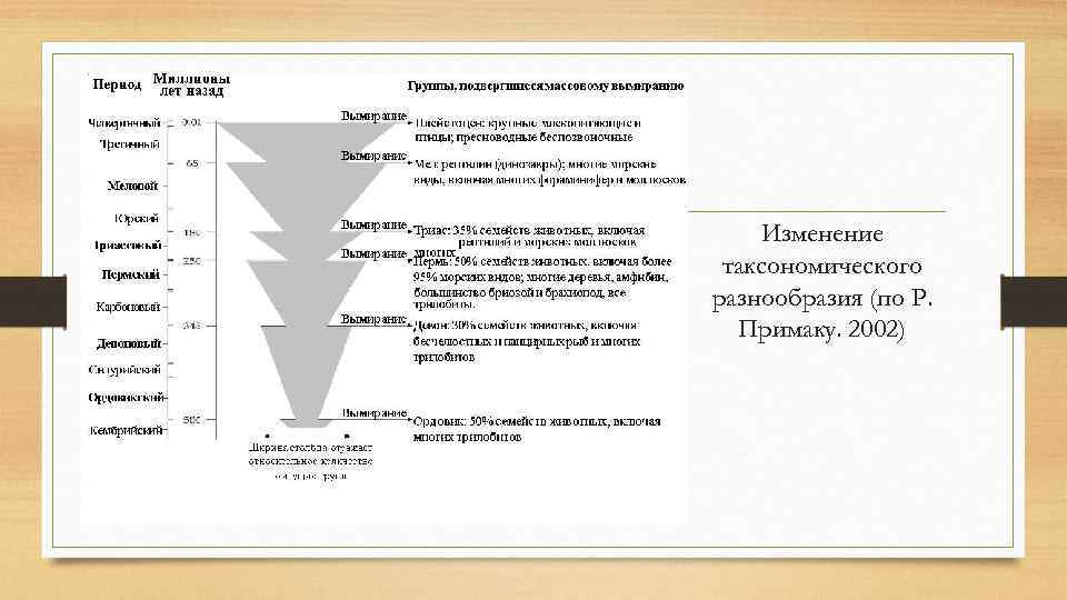 Изменение таксономического разнообразия (по Р. Примаку. 2002) 