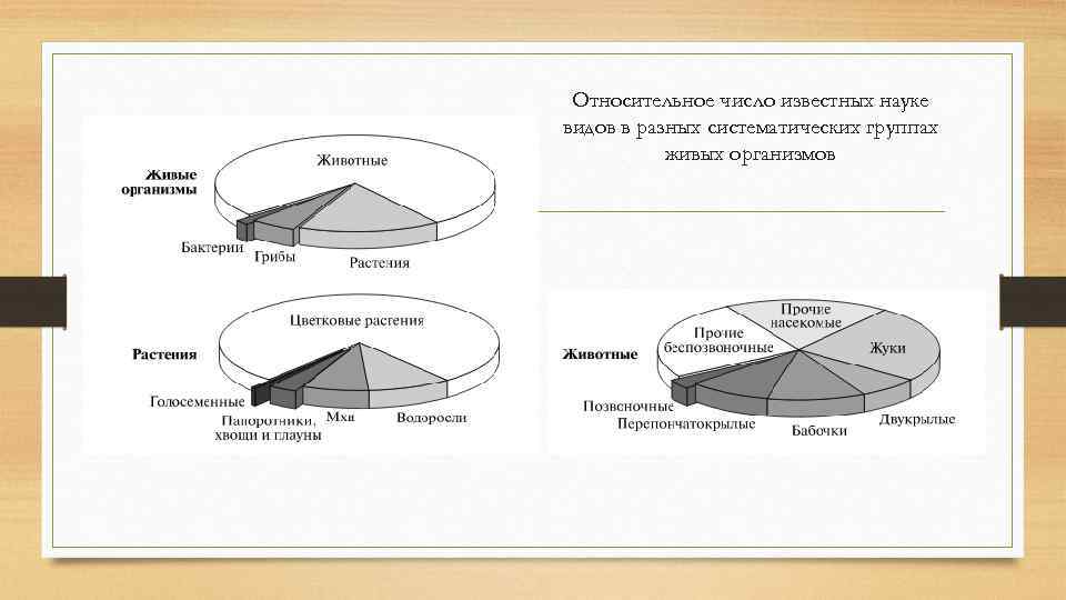 Относительное число известных науке видов в разных систематических группах живых организмов 