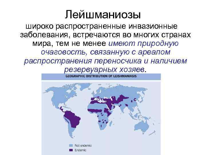 Лейшманиозы широко распространенные инвазионные заболевания, встречаются во многих странах мира, тем не менее имеют