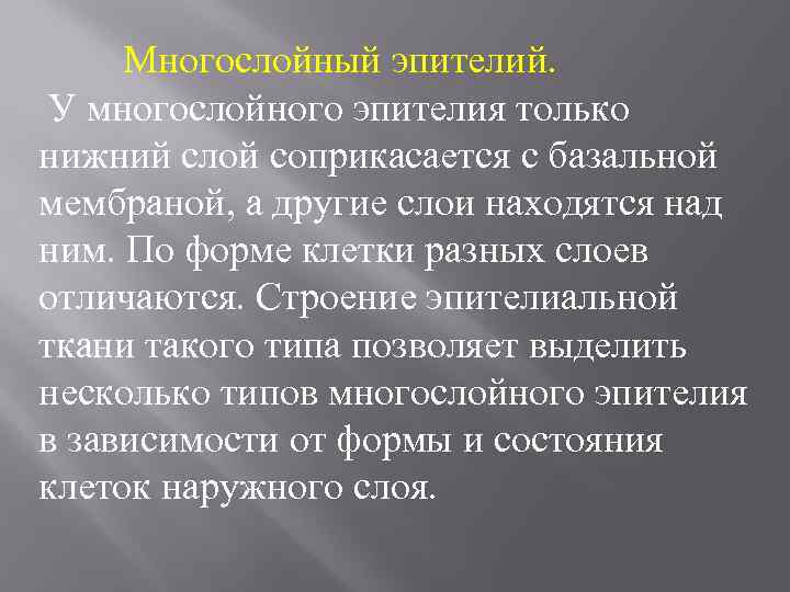 Многослойный эпителий. У многослойного эпителия только нижний слой соприкасается с базальной мембраной, а другие