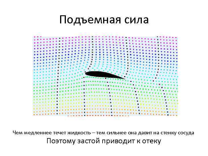 Подъемная сила Чем медленнее течет жидкость – тем сильнее она давит на стенку сосуда