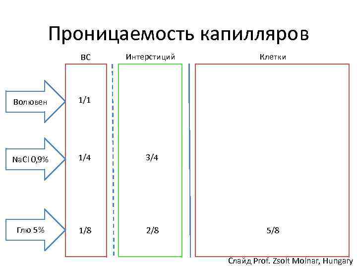 Проницаемость капилляров ВС Интерстиций Волювен 1/1 Na. Cl 0, 9% 1/4 3/4 Глю 5%