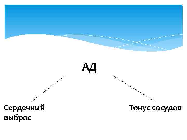 АД Сердечный выброс Тонус сосудов 