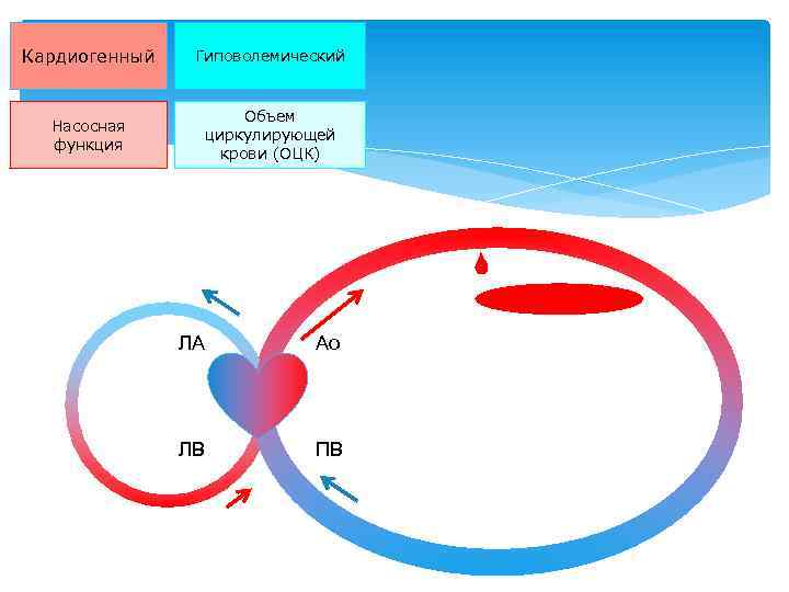 Кардиогенный Гиповолемический Насосная функция Объем циркулирующей крови (ОЦК) ЛА Ао ЛВ ПВ 