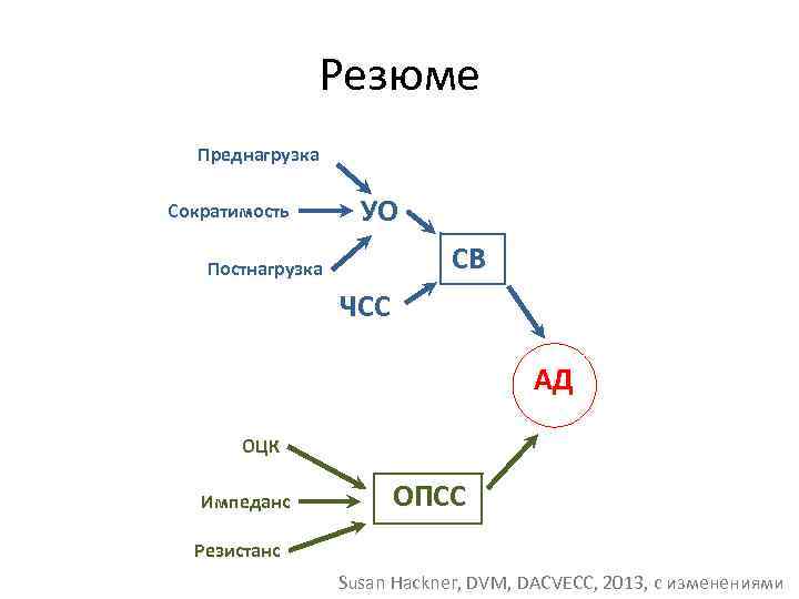 Резюме Преднагрузка Сократимость УО СВ Постнагрузка ЧСС АД ОЦК Импеданс ОПСС Резистанс Susan Hackner,
