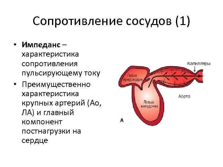 Сопротивление сосудов (1) • Импеданс – характеристика сопротивления пульсирующему току • Преимущественно характеристика крупных