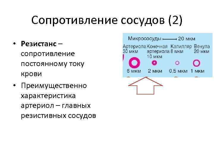 Сопротивление сосудов (2) • Резистанс – сопротивление постоянному току крови • Преимущественно характеристика артериол