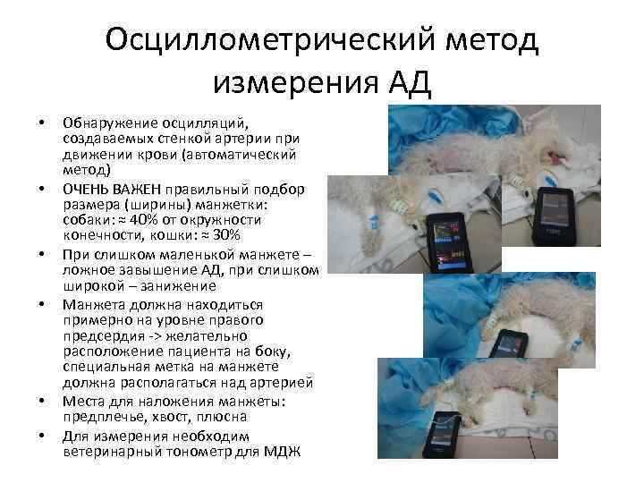 Осциллометрический метод измерения АД • • • Обнаружение осцилляций, создаваемых стенкой артерии при движении