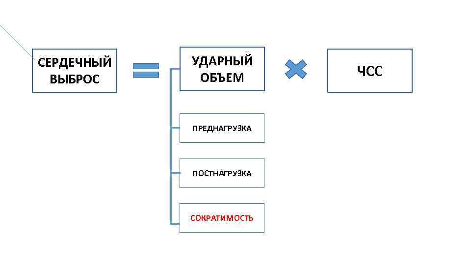 СЕРДЕЧНЫЙ ВЫБРОС УДАРНЫЙ ОБЪЕМ ПРЕДНАГРУЗКА ПОСТНАГРУЗКА СОКРАТИМОСТЬ ЧСС 