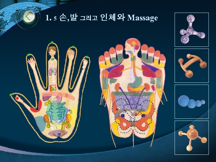 1. 5 손, 발 그리고 인체와 Massage 