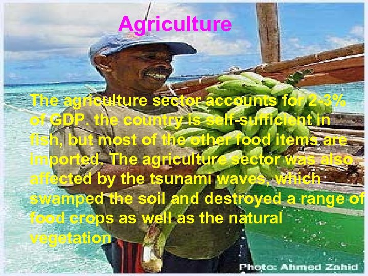 Agriculture The agriculture sector accounts for 2 -3% of GDP. the country is self-sufficient
