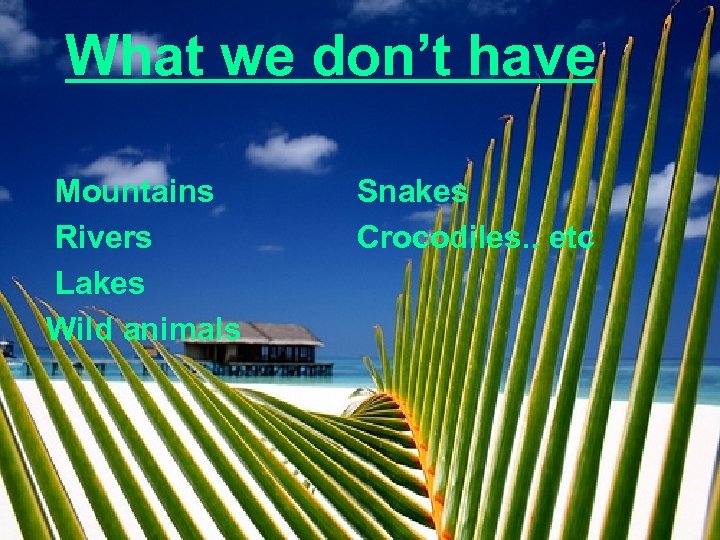 What we don’t have Mountains Rivers Lakes Wild animals Snakes Crocodiles. . etc 