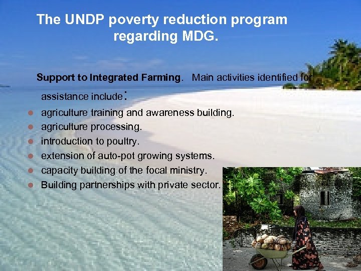 The UNDP poverty reduction program regarding MDG. Support to Integrated Farming. Main activities identified
