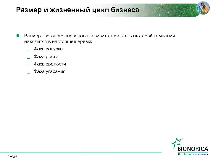Размер и жизненный цикл бизнеса n Размер торгового персонала зависит от фазы, на которой