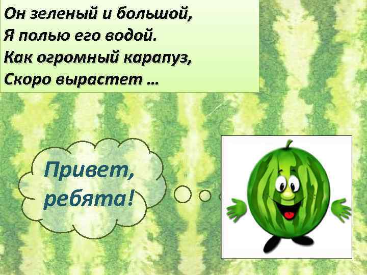 Он зеленый и большой, Я полью его водой. Как огромный карапуз, Скоро вырастет …