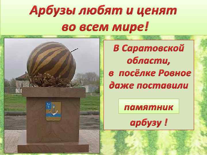 Арбузы любят и ценят во всем мире! В Саратовской области, в посёлке Ровное даже