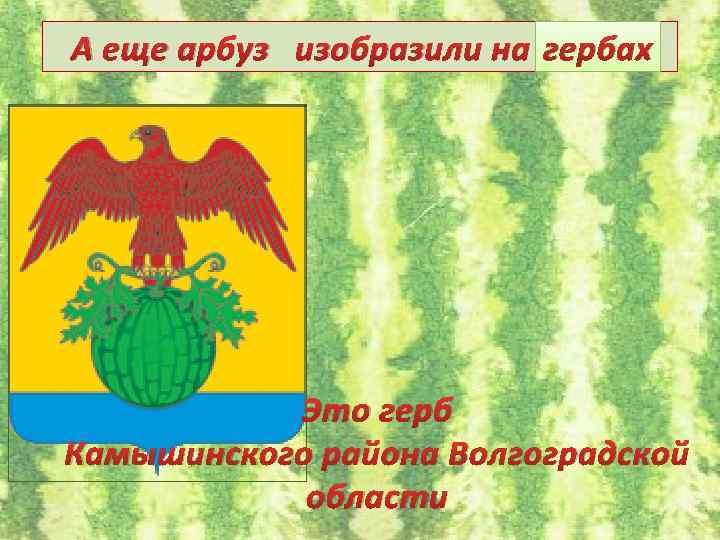 А еще арбуз изобразили на гербах Это герб Камышинского района Волгоградской области 