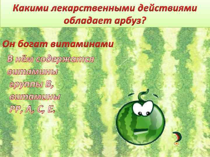 Какими лекарственными действиями обладает арбуз? Он богат витаминами В нём содержатся витамины группы В,