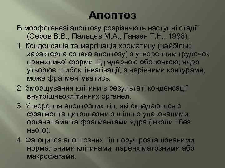 Апоптоз В морфогенезі апоптозу розрізняють наступні стадії (Серов В. В. , Пальцев М. А.