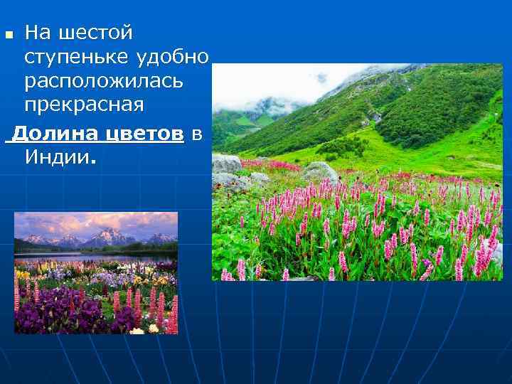 На шестой ступеньке удобно расположилась прекрасная Долина цветов в Индии. n 