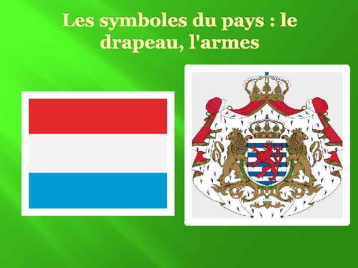 Les symboles du pays : le drapeau, l'armes 