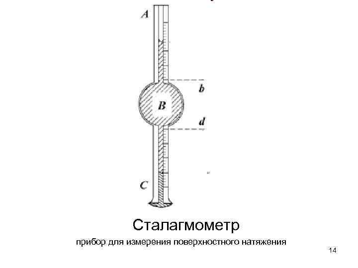 Первый поверх