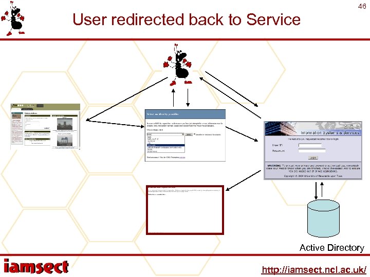 User redirected back to Service 46 Active Directory http: //iamsect. ncl. ac. uk/ 