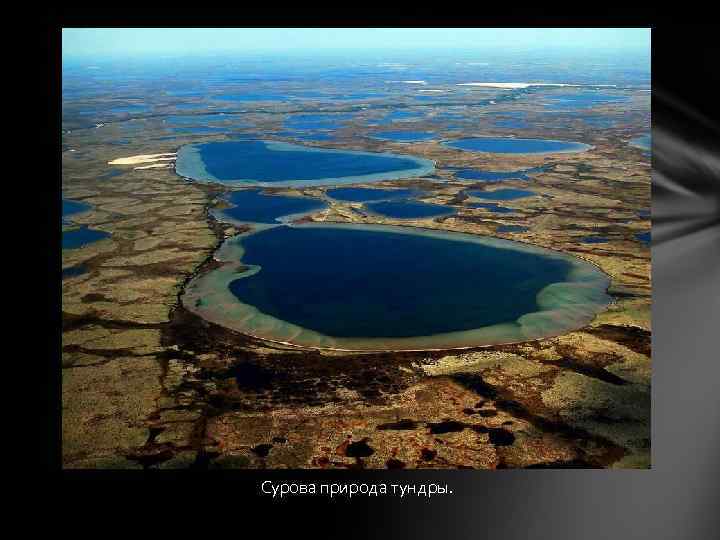 Сурова природа тундры. 