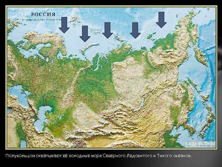 Полукольцом охватывают её холодные моря Северного Ледовитого и Тихого океанов. 