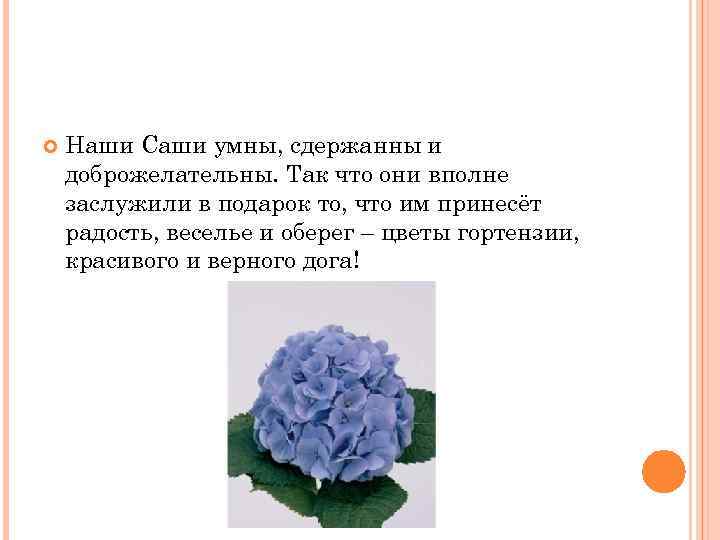  Наши Саши умны, сдержанны и доброжелательны. Так что они вполне заслужили в подарок