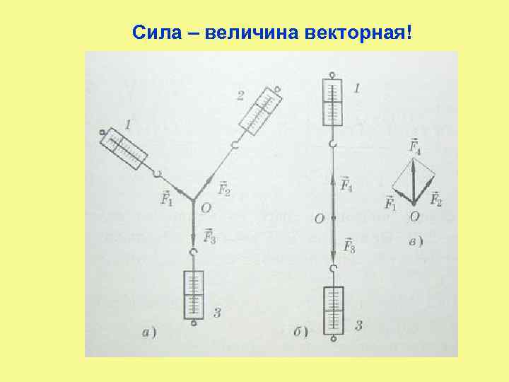 Сила – величина векторная! 