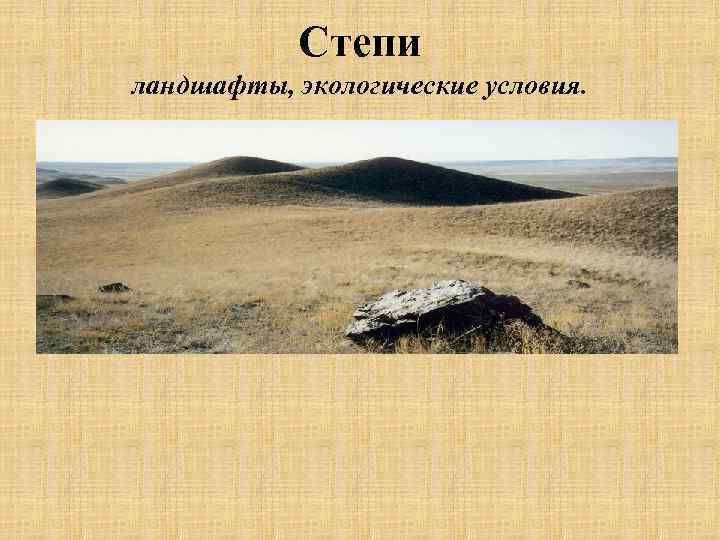 Степи ландшафты, экологические условия. 