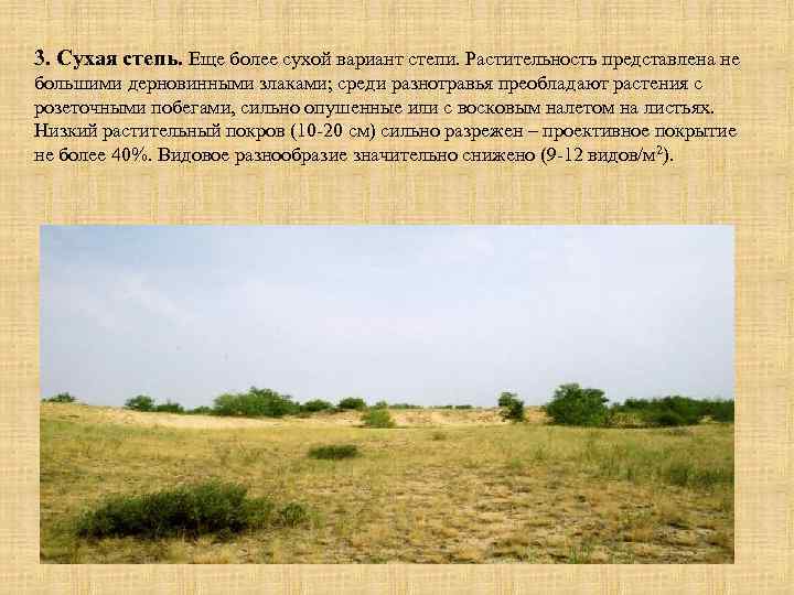 3. Сухая степь. Еще более сухой вариант степи. Растительность представлена не большими дерновинными злаками;