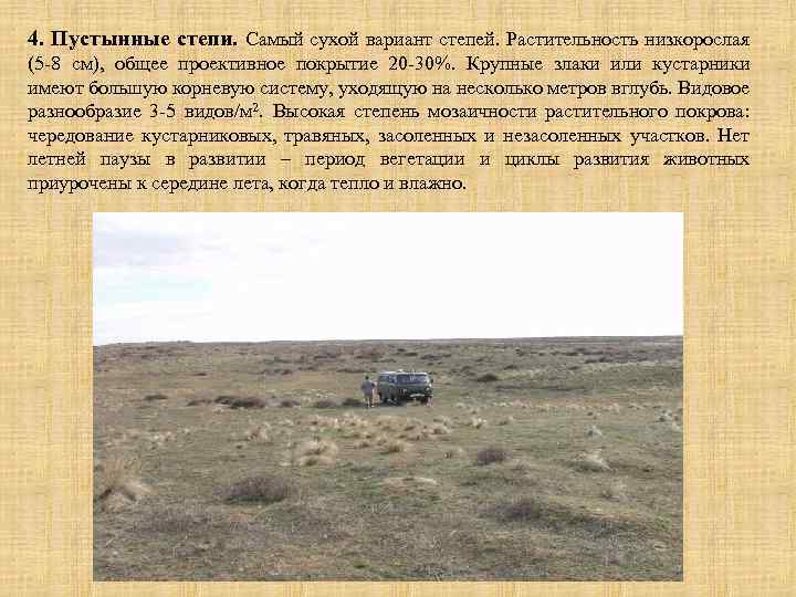 4. Пустынные степи. Самый сухой вариант степей. Растительность низкорослая (5 -8 см), общее проективное