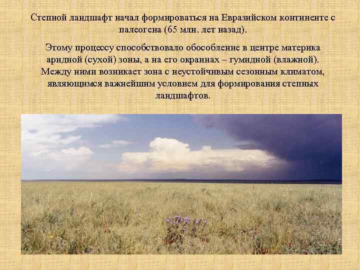 Степной ландшафт начал формироваться на Евразийском континенте с палеогена (65 млн. лет назад). Этому