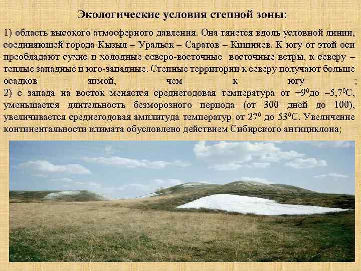 Экологические условия степной зоны: 1) область высокого атмосферного давления. Она тянется вдоль условной линии,
