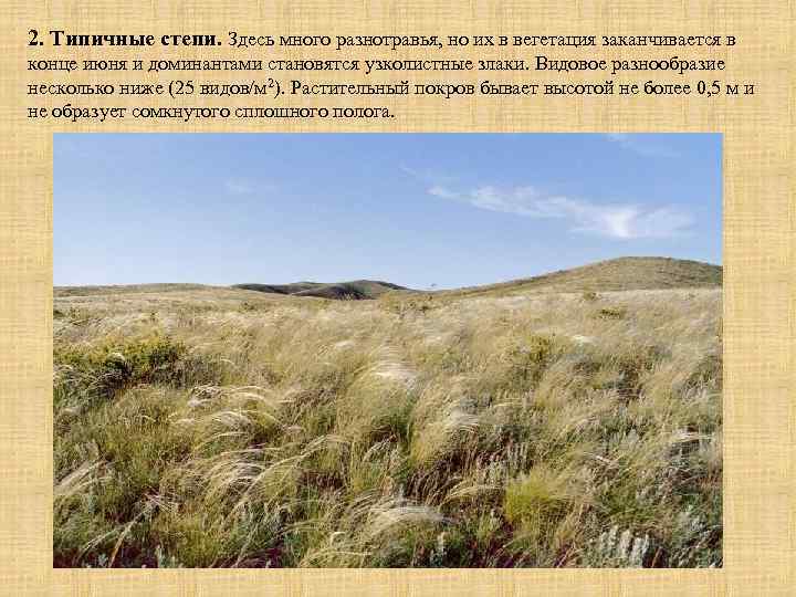 2. Типичные степи. Здесь много разнотравья, но их в вегетация заканчивается в конце июня