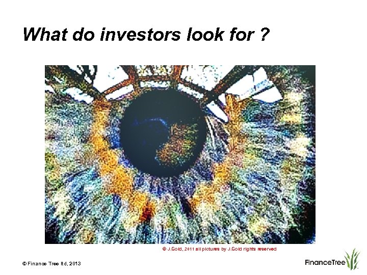 What do investors look for ? © J. Gold, 2011 all pictures by J.