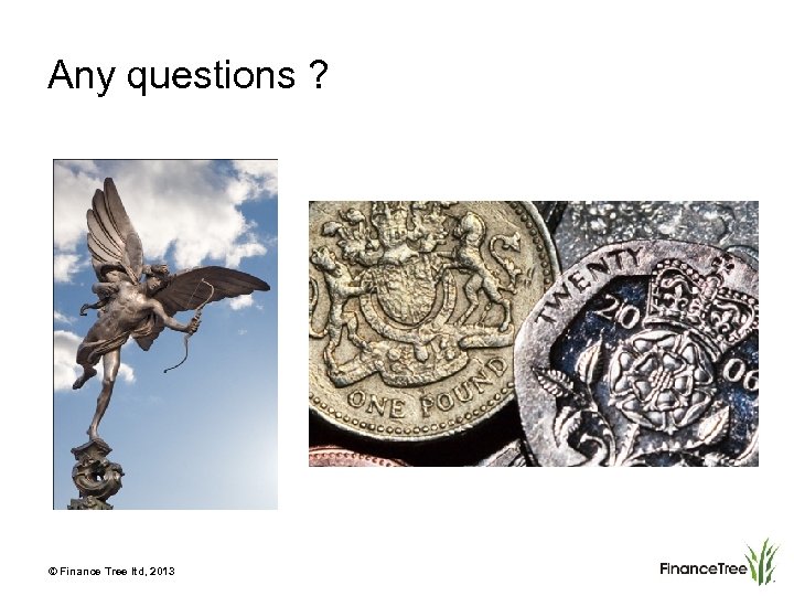 Any questions ? © Finance Tree ltd, 2013 