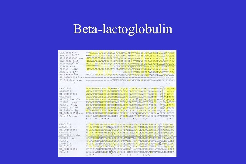 Beta-lactoglobulin 