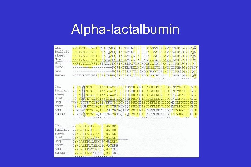 Alpha-lactalbumin 
