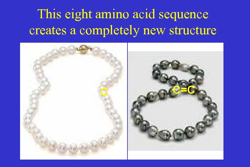 This eight amino acid sequence creates a completely new structure C C=C 